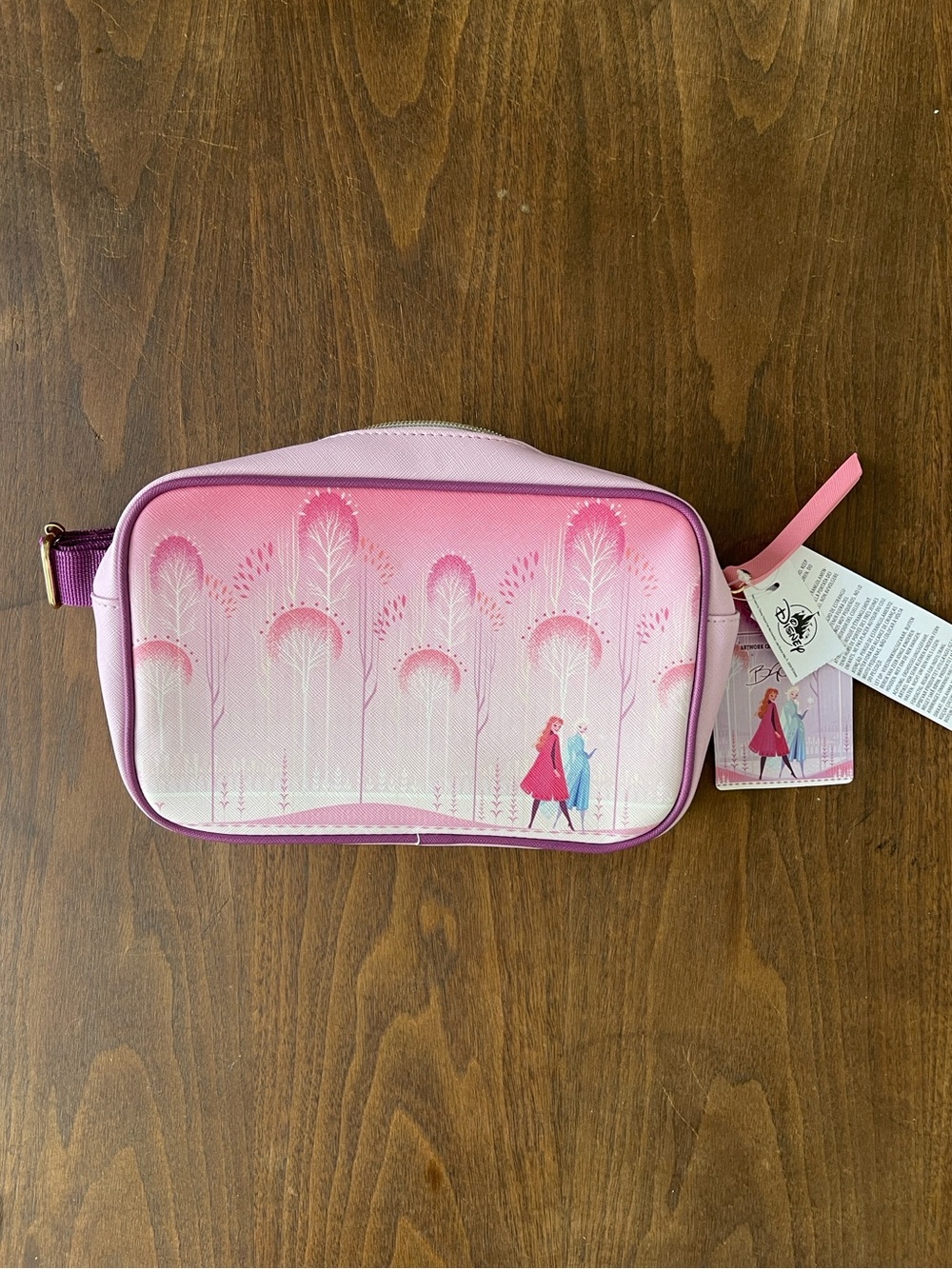 Disney Frozen Anna & Elsa Hip Pack